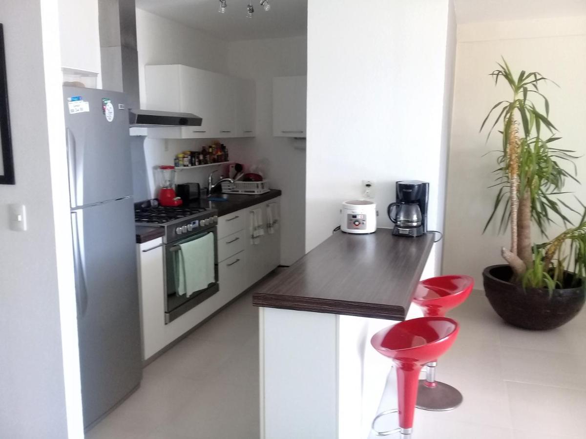 Swim The Caribbean & Work With A View Apartment Канкун Екстериор снимка