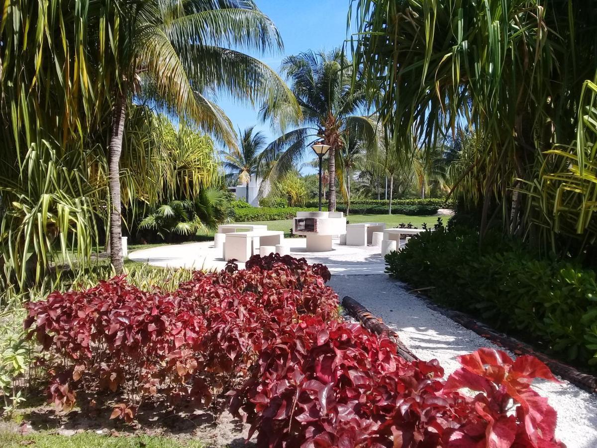 Swim The Caribbean & Work With A View Apartment Канкун Екстериор снимка