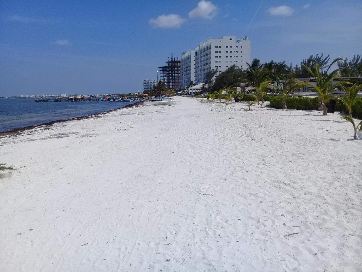 Swim The Caribbean & Work With A View Apartment Канкун Екстериор снимка