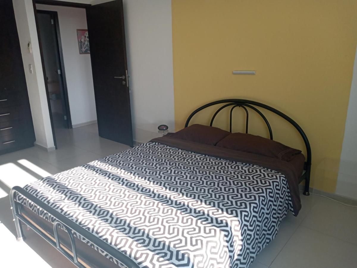 Swim The Caribbean & Work With A View Apartment Канкун Екстериор снимка