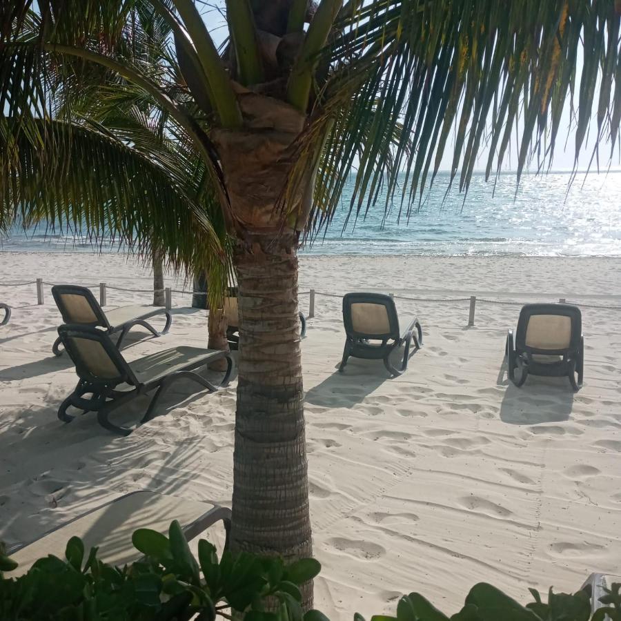 Swim The Caribbean & Work With A View Apartment Канкун Екстериор снимка